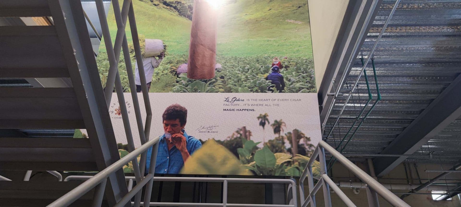 Premium La Galera cigars on display highlighting tradition and craftsmanship of La Palma factory.
