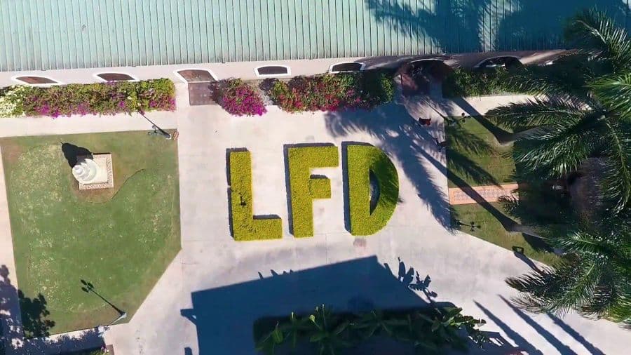 La Flor Dominicana cigars on display showcasing exceptional Dominican craftsmanship