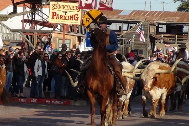 Tour definitivo por lo mejor de Dallas y Fort Worth en grupo pequeño - 3