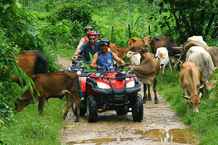 Aventura 4x4 en ATV en Punta Cana: Cueva Subterránea, Playa Macao y Sabores Locales - 3