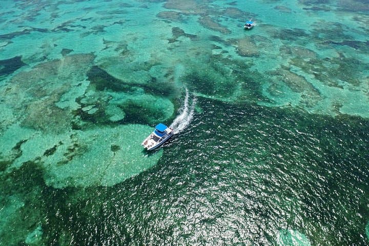 Punta Cana Adults-Only Snorkel & Seafood Feast: Premium Catamaran Adventure - 2
