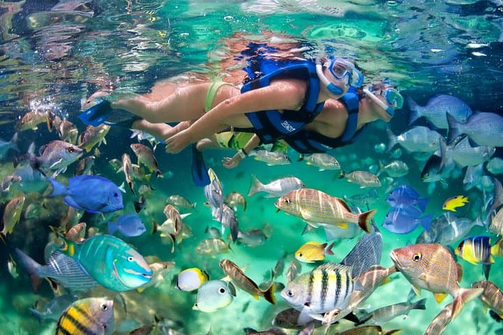 Barco de Fiesta en Punta Cana: Snorkel, Avistamiento de Delfines y Natación en Piscina Natural - 7