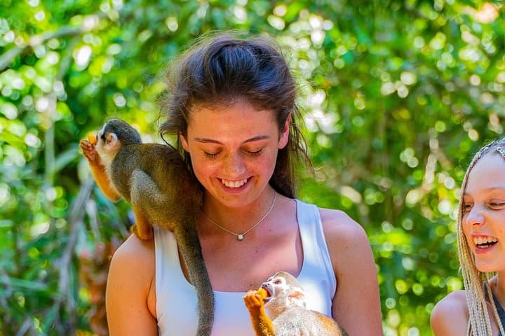 Puerto Plata Triple Emoción: Monos, Cascadas y Aventura en Buggy Todoterreno - 4