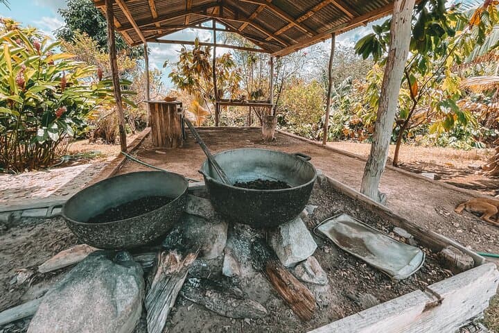 Dominican Deep Dive: Eco Tour with Horses, Quads, and Authentic Farm Life - 5