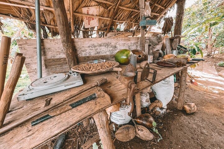 Dominican Deep Dive: Eco Tour with Horses, Quads, and Authentic Farm Life - 6