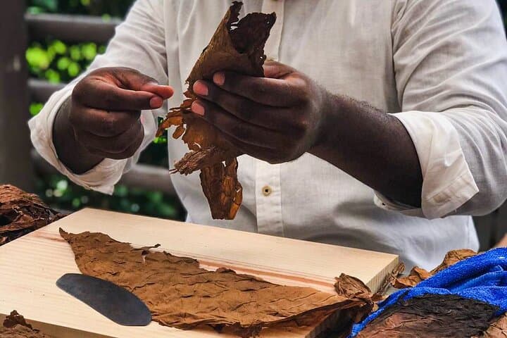 Mexican Cigar Rolling Masterclass & Tequila Tasting (With Transfer)