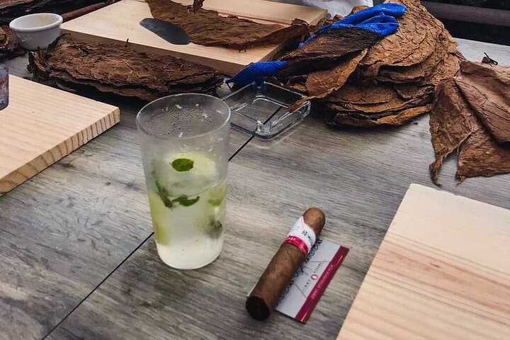 Clase Magistral de Torcido de Cigarros Mexicanos y Cata de Tequila (Con Traslado Incluido) - 3