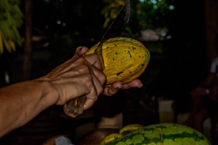 Dominican Deep Dive: Eco Tour with Horses, Quads, and Authentic Farm Life - 8