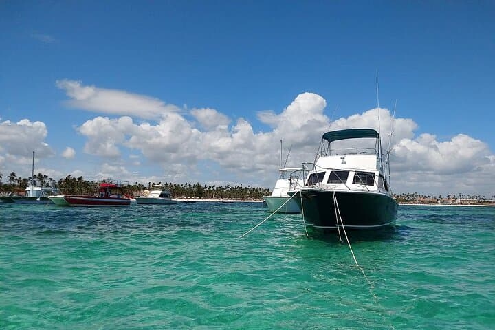 Chárter Privado de Pesca de Altura en Punta Cana a bordo del Divina - 6