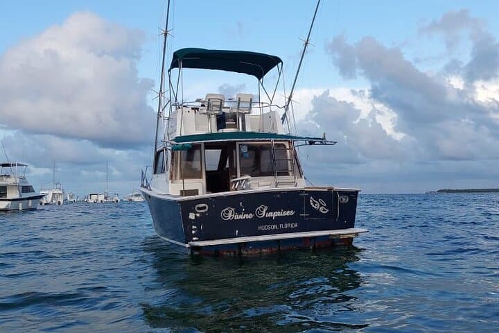 Chárter Privado de Pesca de Altura en Punta Cana a bordo del Divina - 5