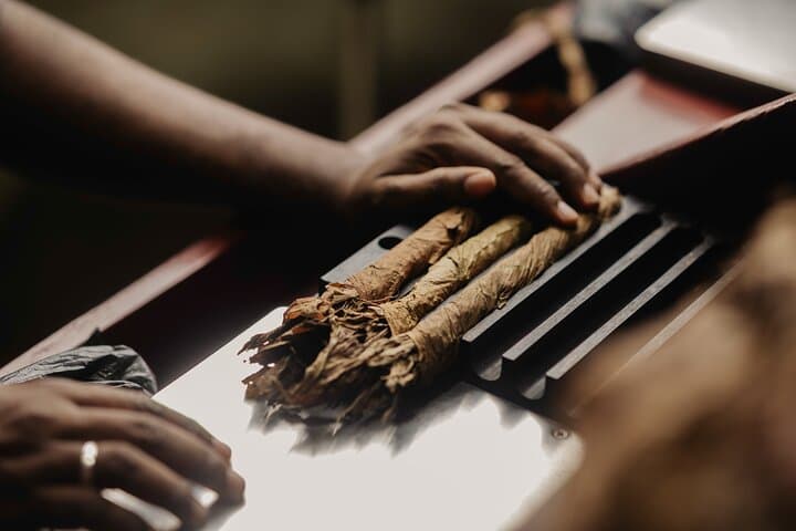 Roll Your Own Cigar Experience in Puerto Plata (Cruise-Friendly) - 6