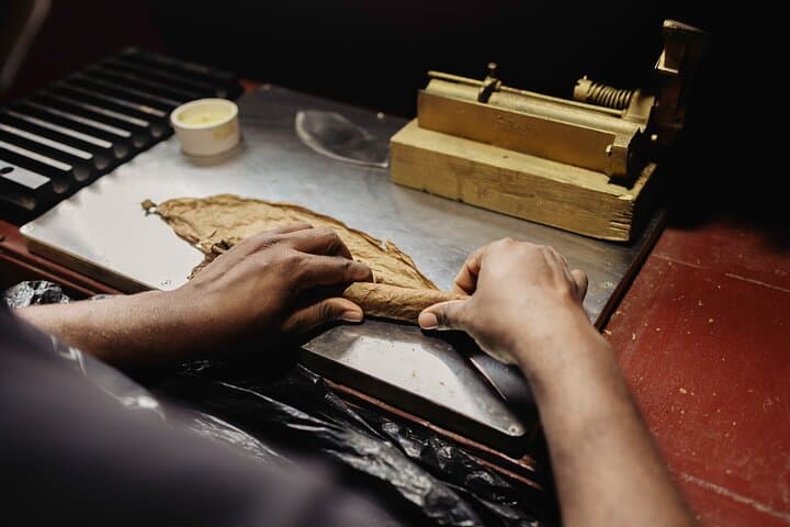 Roll Your Own Cigar Experience in Puerto Plata (Cruise-Friendly) - 2