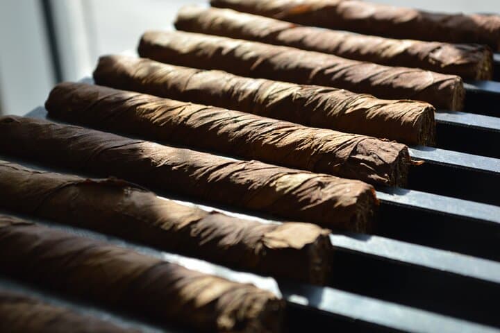 Roll Your Own Cigar Experience in Puerto Plata (Cruise-Friendly) - 8