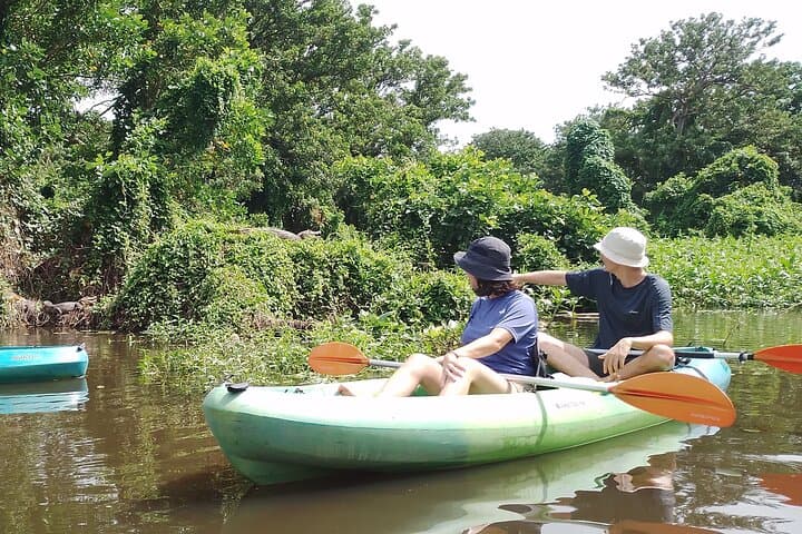 Private Ometepe Kayak Safari: Wildlife & Volcano Views - 3