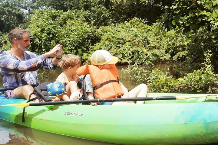 Private Ometepe Kayak Safari: Wildlife & Volcano Views - 6