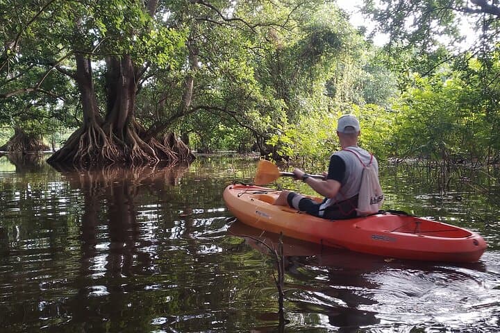 Private Ometepe Kayak Safari: Wildlife & Volcano Views - 7