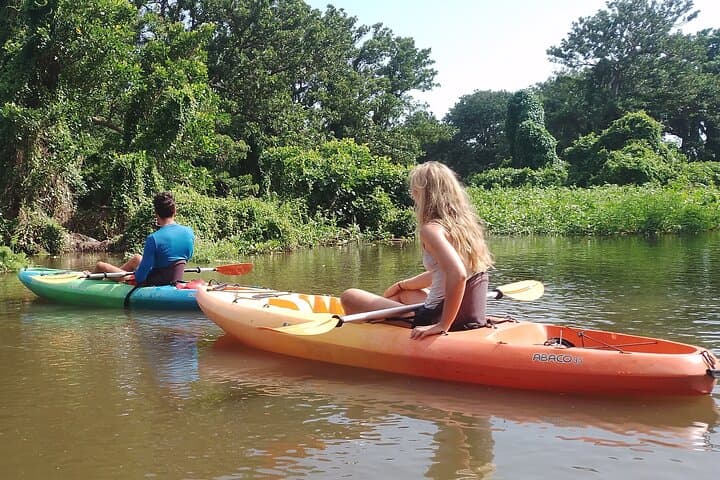 Private Ometepe Kayak Safari: Wildlife & Volcano Views - 8