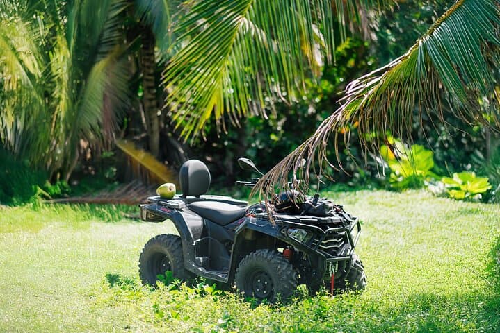 Exclusive Small Group ATV Adventure: Wild Beaches, Jungle Trails & Fresh Coconut Tasting in Punta Cana - 3