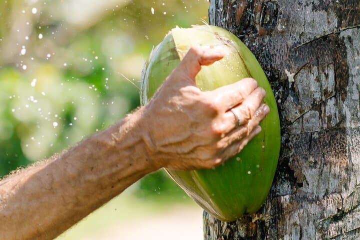 Exclusive Small Group ATV Adventure: Wild Beaches, Jungle Trails & Fresh Coconut Tasting in Punta Cana - 6