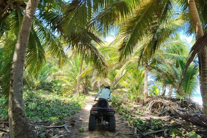 Exclusive Small Group ATV Adventure: Wild Beaches, Jungle Trails & Fresh Coconut Tasting in Punta Cana - 7