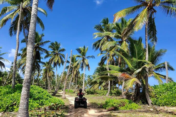 Exclusive Small Group ATV Adventure: Wild Beaches, Jungle Trails & Fresh Coconut Tasting in Punta Cana - 8