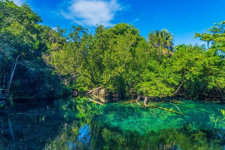 Indigenous Eyes Cenotes Eco-Adventure & Dominican Culture Tour in Punta Cana - 2