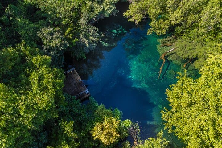 Indigenous Eyes Cenotes Eco-Adventure & Dominican Culture Tour in Punta Cana - 5