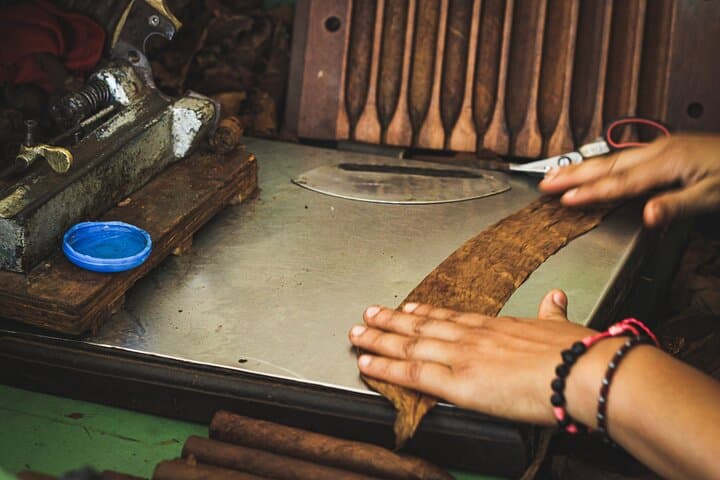 Tour Privado a Fábrica de Cigarros en Puerto Plata (Ideal para Cruceros) - 8