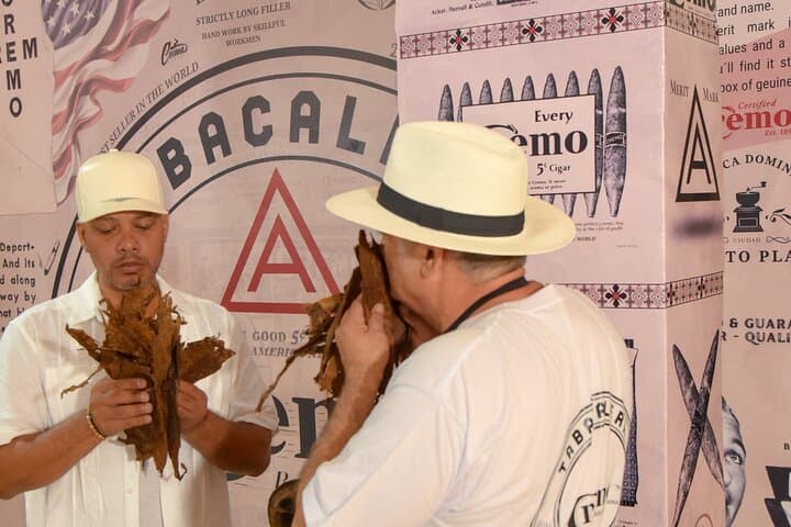 Roll Your Own Cigar Experience in Puerto Plata (Cruise-Friendly) - 3