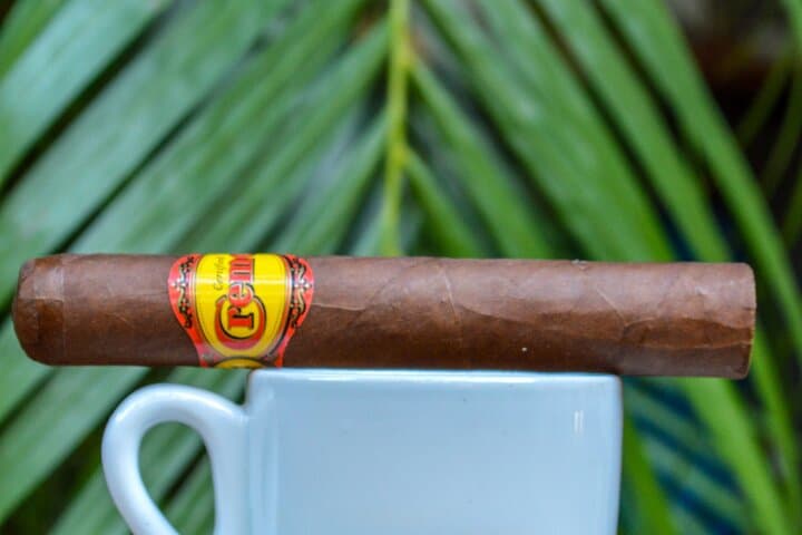 Degustación de Cigarros y Café Ideal para Cruceros en Puerto Plata - 5