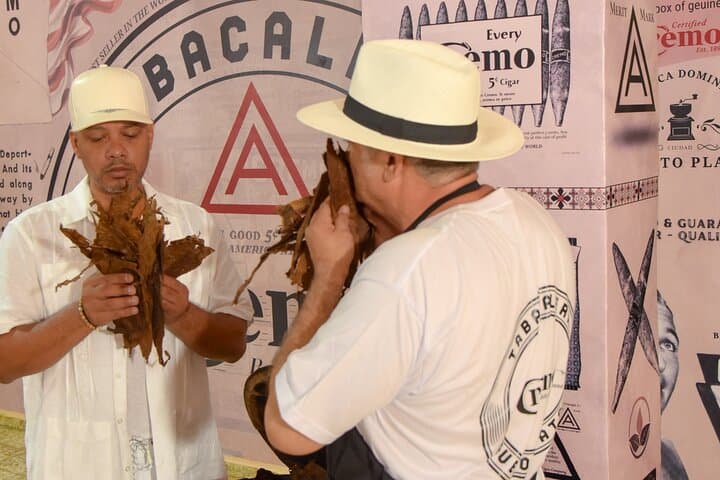 Degustación de Cigarros y Café Ideal para Cruceros en Puerto Plata - 4